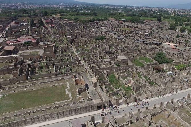 Pompeii Ruins visit for 3 hours (round-trip included) - Key Points