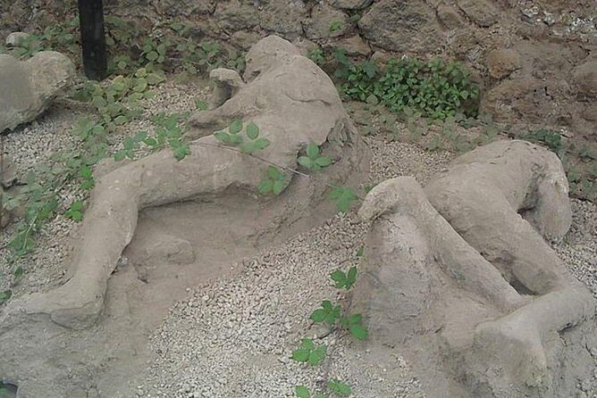 Pompeii Ruins visit for 3 hours (round-trip included) - FAQ