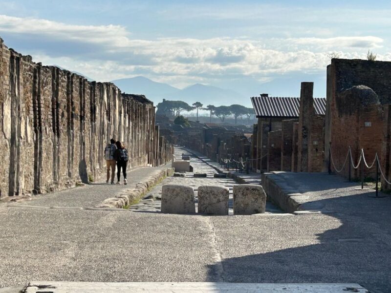 Pompeii semi-private tour, priority Access and Expert Guide - Price and Value