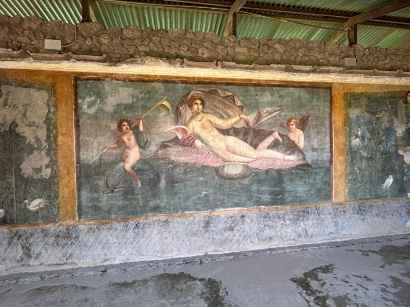 Pompeii semi-private tour, priority Access and Expert Guide - Pros and Cons Based on Reviews
