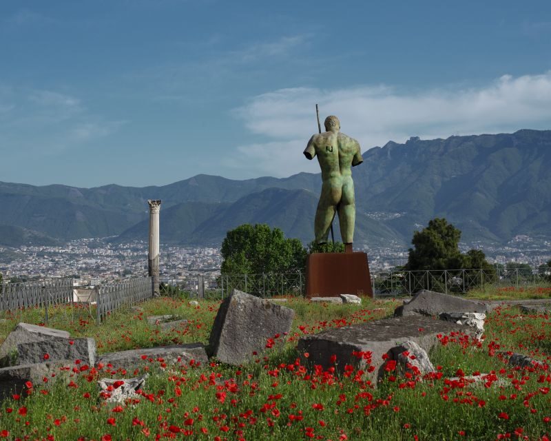 Pompeii: Skip-the-Line Entry Ticket with App Audio Guide - Who Should Consider This Tour?