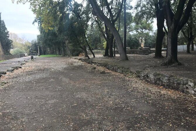 Pompeii - Small Group Tour (skip-the-line admission included) - What to Expect from the Pompeii Small Group Tour