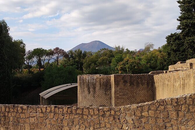 Pompeii: Tour with Archaeologist Guide & Skip-the-Line Entry - What to Expect from the Tour