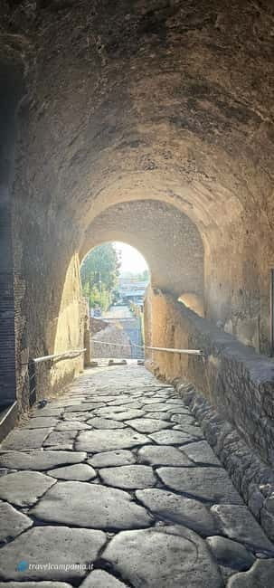 Pompeii: Tour with Archaeologist Guide & Skip-the-Line Entry - Who Should Consider This Tour?