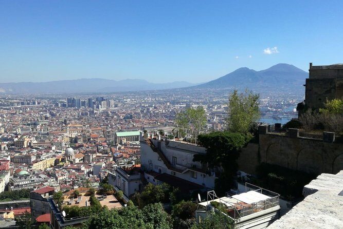 Pompeii Vesuvius All-Inclusive from Naples with Lunch & Guide - Practical Details & Tips