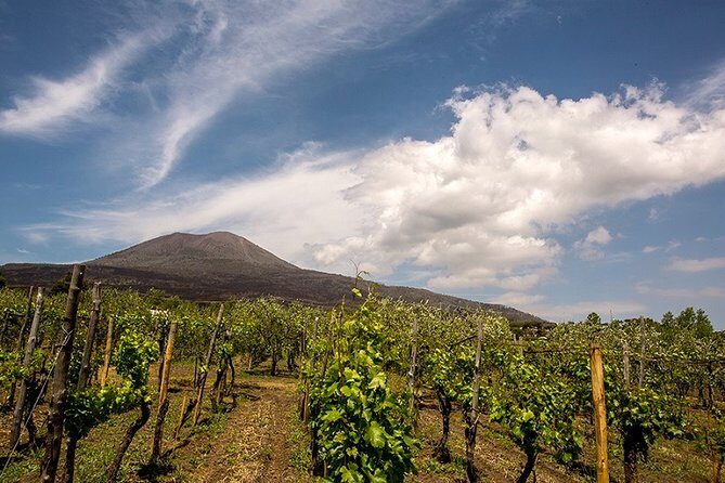 Pompeii Visit with Food and Wine tasting near Mt. Vesuvius - FAQs