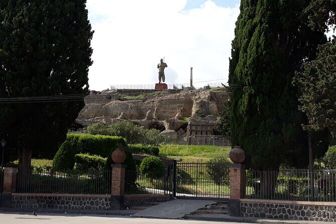 Pompeii & Wine Tasting: Private Day Tour from Naples - FAQ