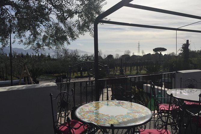 Pompeii-Wine tasting tour from Sorrento, licensed guide included - The Vineyard and Lunch Experience