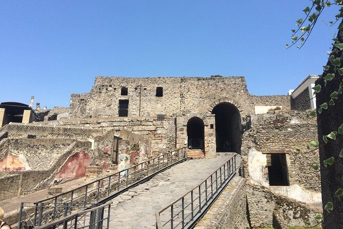 Pompeii-Wine tasting tour from Sorrento, licensed guide included - Final Thoughts
