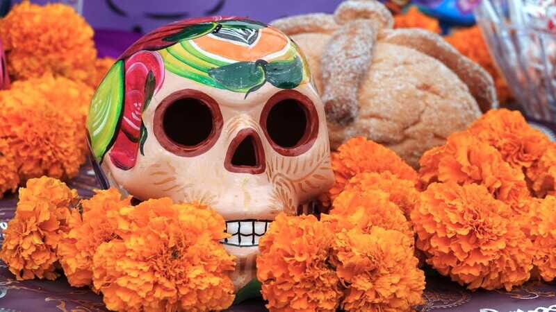 Pomuchs Legacy: A Day of the Dead Cultural Immersion - Practical Details and What You Should Know