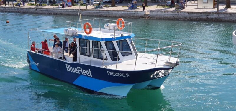 Ponta da Piedade: Half-Day Cruise with Lunch from Lagos - Key Points