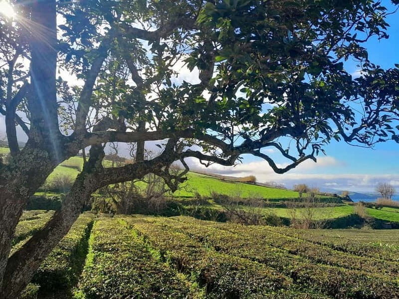 Ponta Delgada: 2-Day Tour, East & West Island Highlights - FAQ