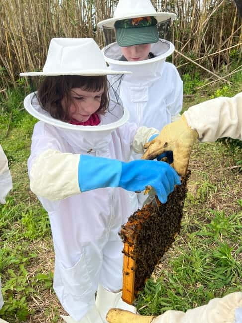 Ponta Delgada: Apiary Guided Tour - Authenticity and Genuine Experience