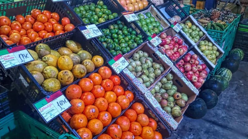 Ponta Delgada: Fat Dolphin Food Tours - Practical Details and Tips