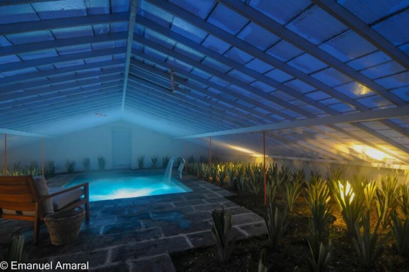 Ponta Delgada: Greenhouse Hot Tube with Pineapple Tour - Key Points