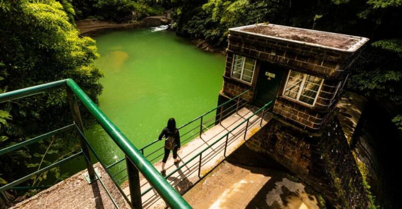 Ponta Delgada: Hidden Gems of São Miguel Full-Day Van Tour - Insights from Travelers’ Reviews