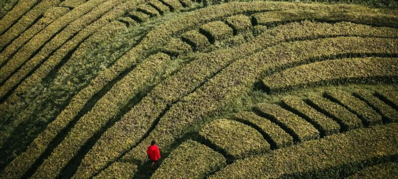 Ponta Delgada: São Miguel island 2-Day Tour Highlights - Exploring São Miguel in Two Days: An Honest Review of the Azores Highlights Tour
