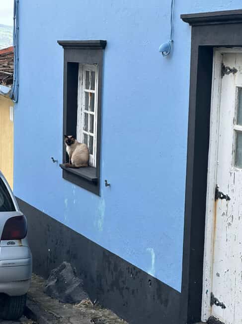 Ponta Delgada: Sete Cidades and Fenais da Luz Guided Trip - Key Points