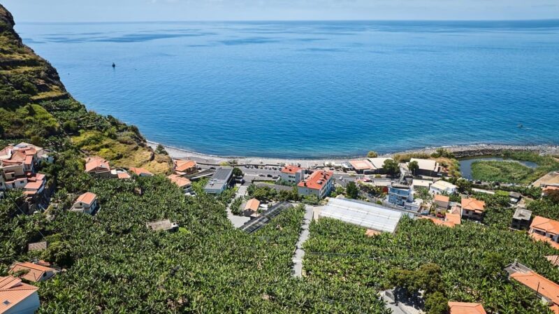 Ponta Do Sol : Madeira Banana Museum guided tour - A Detailed Look at the Madeira Banana Museum Guided Tour