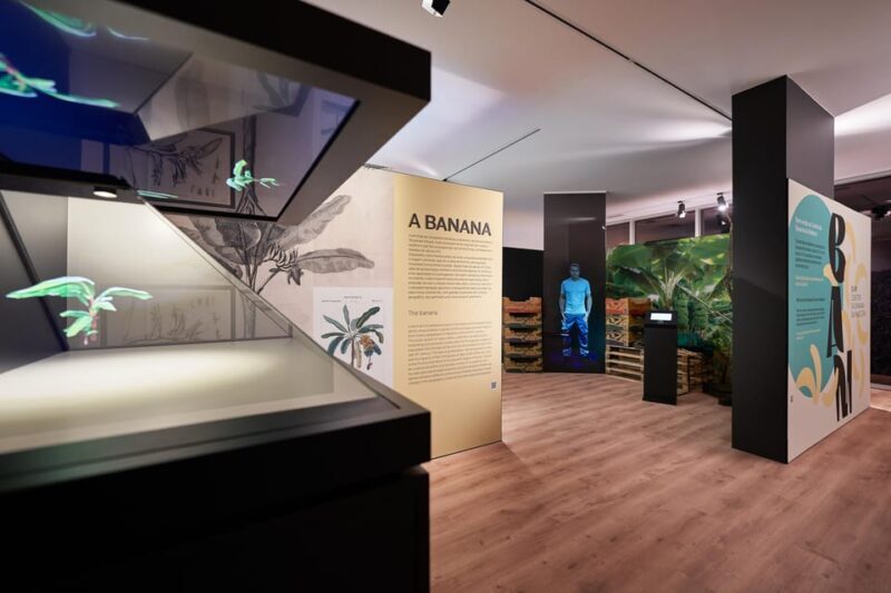 Ponta Do Sol : Madeira Banana Museum guided tour - What Makes This Tour a Good Choice?