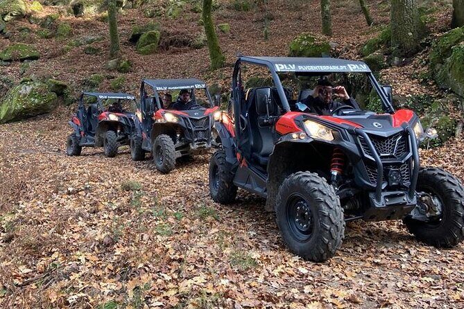Ponte de Lima Guided Buggy Tour - What to Expect: The Day of Your Ride