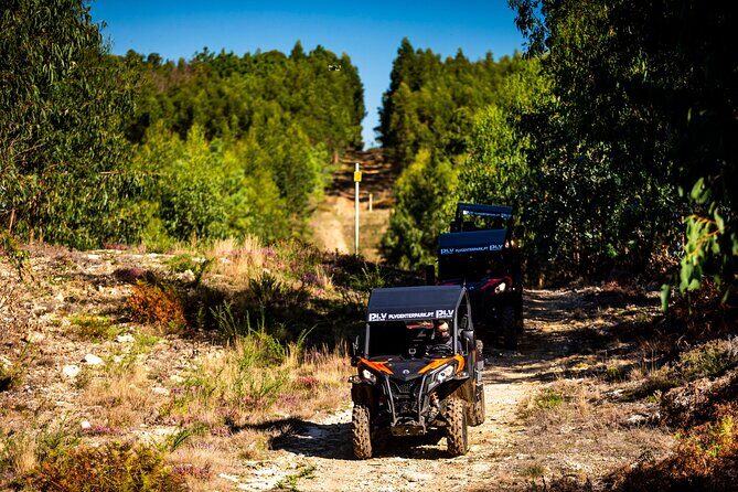 Ponte de Lima Guided Buggy Tour - Final Thoughts