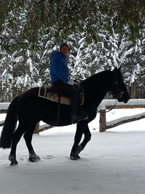 Pontedilegno-Temù: Val d'Avio Horseback Ride with Guide - Who Is This Experience Best For?