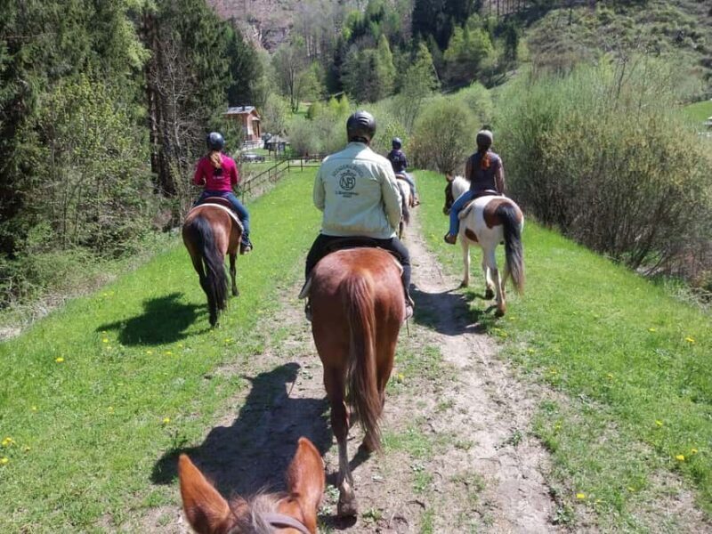 Pontedilegno-Temù: Val d'Avio Horseback Ride with Guide - Final Thoughts