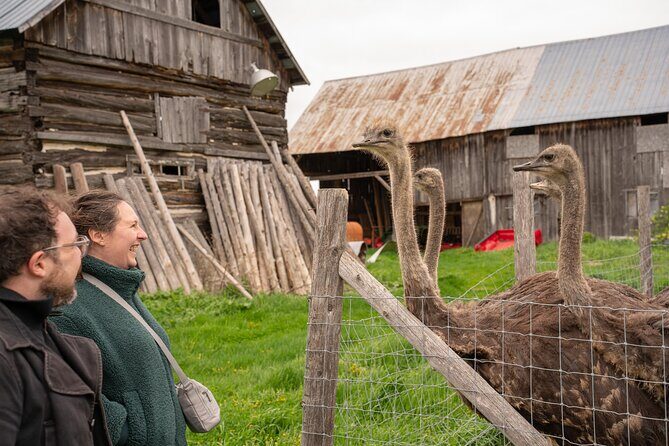 Pontiac Farm Tour - Day Trip From Ottawa & Gatineau - Exploring the Pontiac Farm Tour: A Genuine Look at a Unique Outaouais Experience