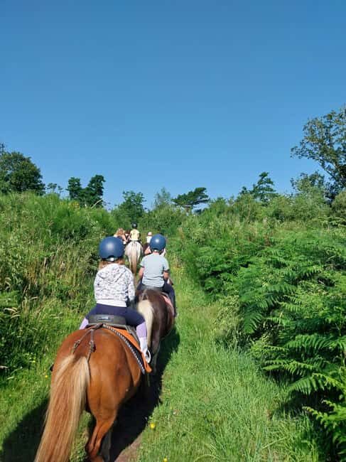PONY DISCOVERY RIDE - A Closer Look at the Pony Discovery Ride Experience