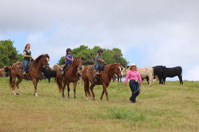 Pony Rides For Kids - Key Points