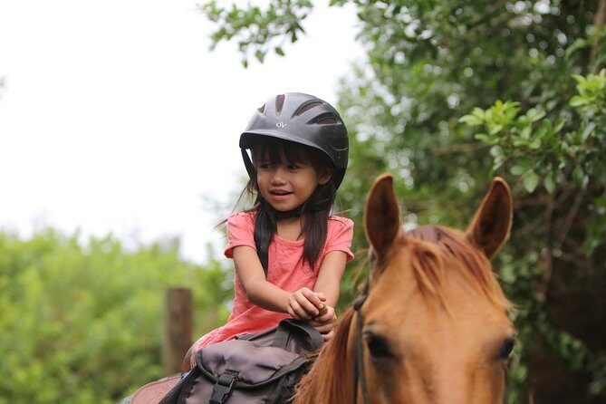 Pony Rides For Kids - Who Should Consider This Experience?
