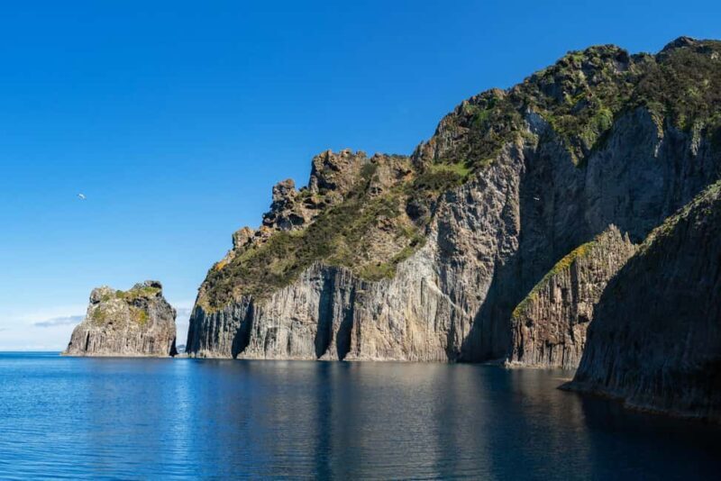 Ponza: Palmarola & Ponza Island Cruise with Swimming & Lunch - Real Traveler Insights