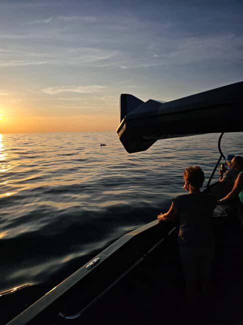 Pore Private Sunset Dolphin Cruise on Yacht - Key Points