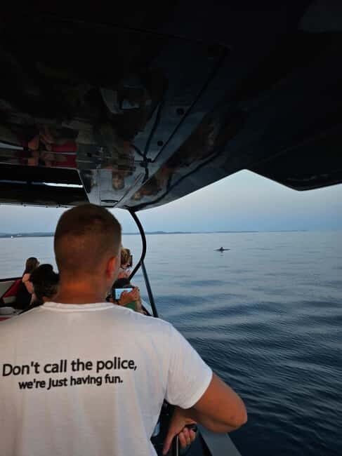 Pore Private Sunset Dolphin Cruise on Yacht - Comparing Similar Experiences