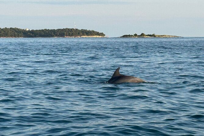 Porec Sunset Shared Cruise on Speedboat with Dolphin Sightseeing - Practical Details and Considerations