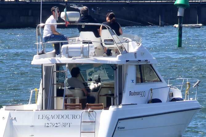 Port : 6 Bridges Cruise , Douro River with Sunset Option - Your Guides: Knowledgeable, Friendly, and Actually Understandable