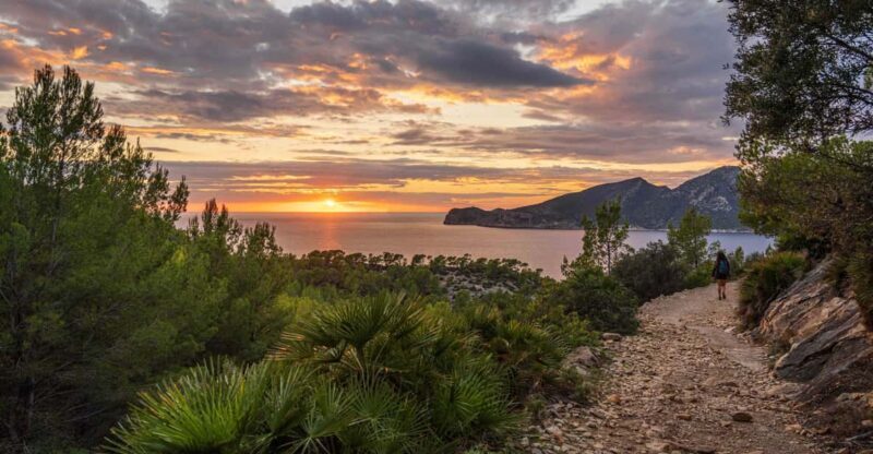 Port Andratx: Hiking Tour into the sunset to Sant Elm - What You Can Expect: An In-Depth Look at the Experience
