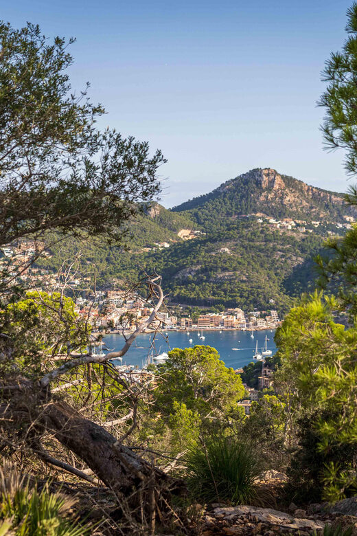 Port Andratx: Hiking Tour into the sunset to Sant Elm - Who Would Love This Tour?
