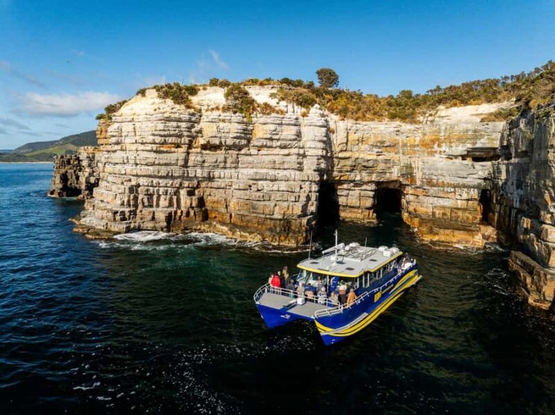 Port Arthur: Cape Raoul Wilderness Cruise - Final Thoughts: Is This Tour for You?