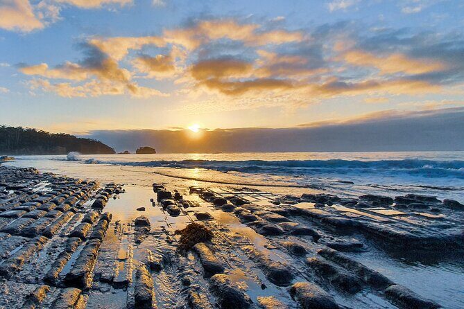 Port Arthur Day Tour from Hobart with Scenic Harbour Cruise - Who Is This Tour Best For?