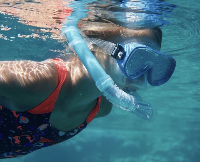 Port de Sóller: Snorkeling Tour with Professional Guide - Final Thoughts