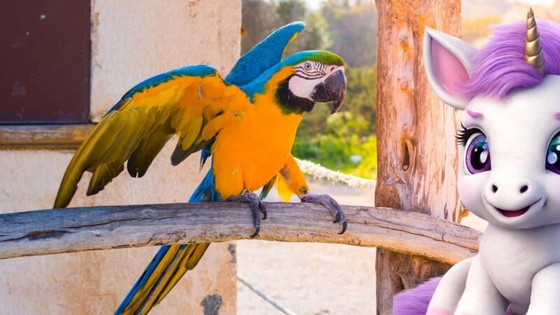 Port de Sóller: The Magical Creatures of Sóller, family game - Final Verdict: Who Should Consider This?