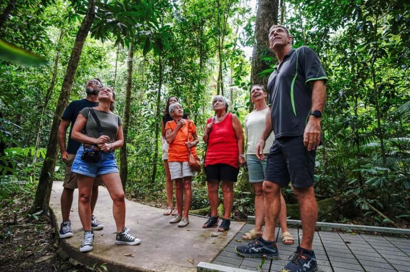 Port Douglas: Best of Daintree Rainforest Day Tour - An In-Depth Look at the Daintree Rainforest Day Tour