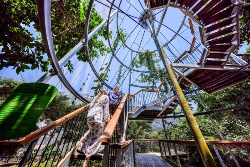 Port Douglas: Breakfast with the Birds - Key Points