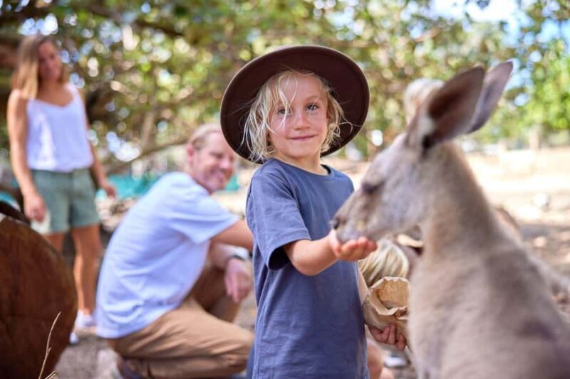 Port Douglas: Breakfast with the Birds - What Is the Experience Like?