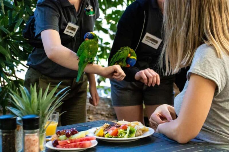 Port Douglas: Breakfast with the Birds - Practical Details and Tips