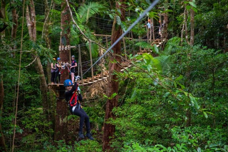 Port Douglas: Daintree National Park Tour, Cruise, & Zipline - Key Points