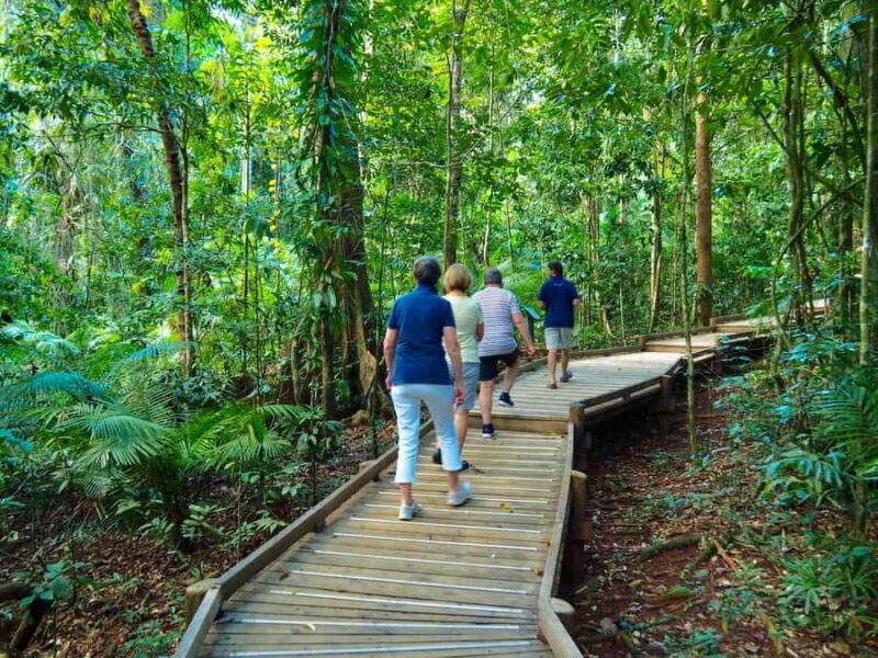 Port Douglas: Daintree Rainforest and Cape Tribulation Tour - Key Points