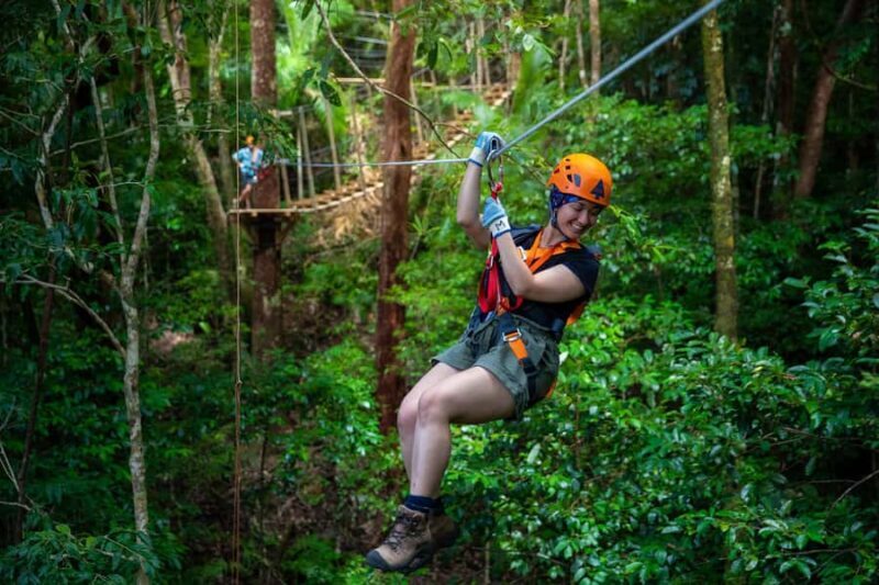 Port Douglas: Daintree Rainforest Canopy Ziplining Tour - Key Points